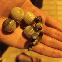 مهره هبهاب عرج عطف