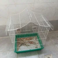 قفس پرنده درحد