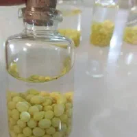 فروش حلزون و تخم حلزون