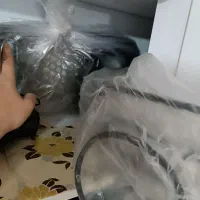 دلونگی