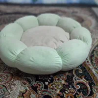 وسیله گربه