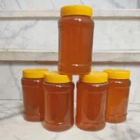 عسل بهاره شیراز اصل اصل و آبغوره شیراز