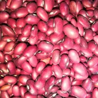 مناسب مجالس