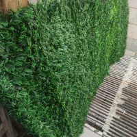 چمن مصنوعی فنس دیواری