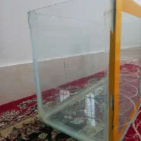 آکواریوم