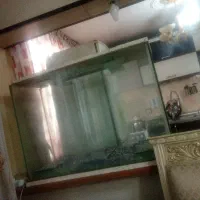 اکواریوم بزرگ ده میل