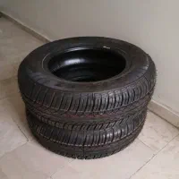 کتابخانه و لاستیک و درختچه نخل