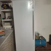 فریزر الکترو استیل