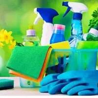 تمیزکار نظافت کار خانم