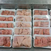 استخدام نیرو جهت کار در مرغ وماهی