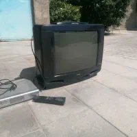 تی وی