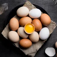 تخم مرغ