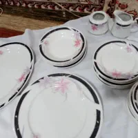 ظرف های پذیرایی قیمت مناسب