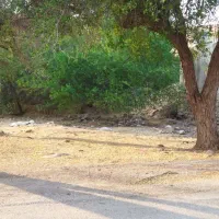 زمین باغ چشم علی سر جاده اصلی