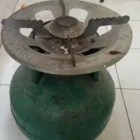 پیک‌نیک راینی