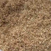 خوراکی