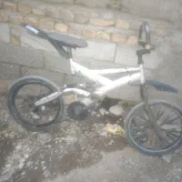 دوچرخه معاوضه با کبوتر