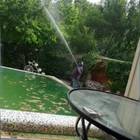 سم پاشی