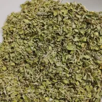 آویشن شیرازی امسال