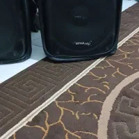 باند دایناپرویک جفت فلشخور کارخونه درحد نو