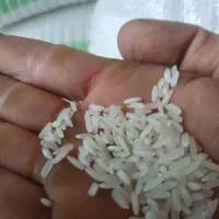 برنج رستورانی. اقتصادی.