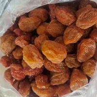 الو بخارا تازه گوشی امسالی مشکان