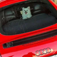 آئودی تی تی Audi tt