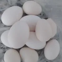 تخم مرغ محلی گلین