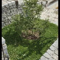 اجاره ملکیت 90 متری تک خواب//پارکینگ