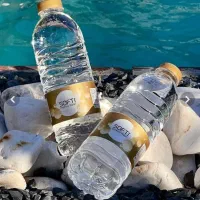 پخش آب معدنی سافتی