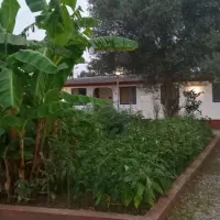 دوخوابه-محیط-خانوادگی