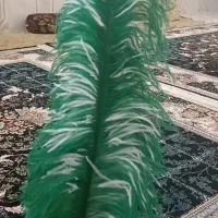 شاهپر تعزیه