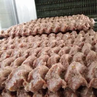اشپز تخته کار و کباب زن و کارگر ساده