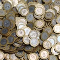 سکه 250 ریالی 1100 عدد         هر عدد 28 هزار