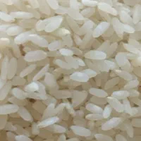 برنج کامفیروز ی و خرده برنج