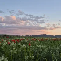 تور طبیعت گردی، میت کافه، تفریح