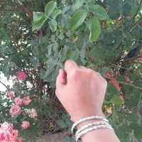 ۳عددالنگوی نقره -هرکدام حدودا-پنج و نیم گرم است