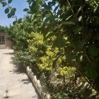 باغچه-ویلایی-350-متر-ملارد