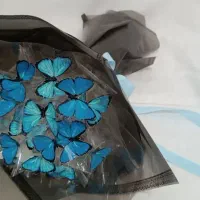 دسته گل پروانه ای چراغدار