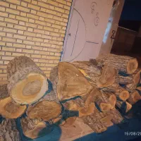 چوب گردو برای فروش