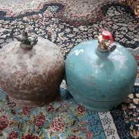دوعدد پیک نیک سالم