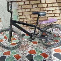 خروسی شمالی منطقنت ال بوجنام