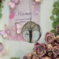 موی جاودان درخت زندگی