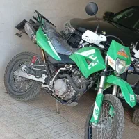 تریل 250 مدل 1403زیر قیمت