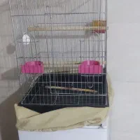 قفس پرنده