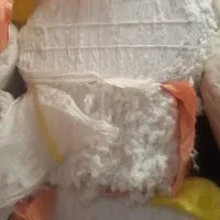 پنبه