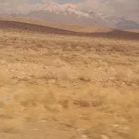 سند متور