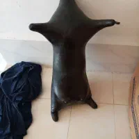 خیک های گوسفندی