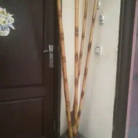 5عددچوب بامبو مفت
