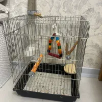 قفس پرنده